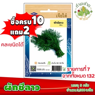 (ซื้อ10แถม2) เมล็ดพันธุ์ ผักชีลาว Dill ประมาณ 3,300เมล็ด เจียไต๋ เมล็ดพันธุ์พืช เมล็ดพันธุ์ผัก เมล็ดผัก เม็ดผัก