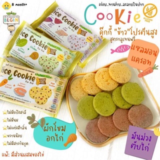 Begin คุ้กกี้ข้าวบราวไรซ์(Brown Rice Organic 100%) ผสมเนื้อสัตว์และผัก ปราศจากแป้งสาลี Gluten Free คุกกี้โปรตีน