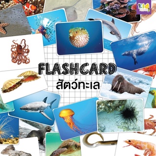 แฟลชการ์ด (flashcard) สัตว์ทะเล (sea animals) จำนวน 25 ใบ ขนาด A5