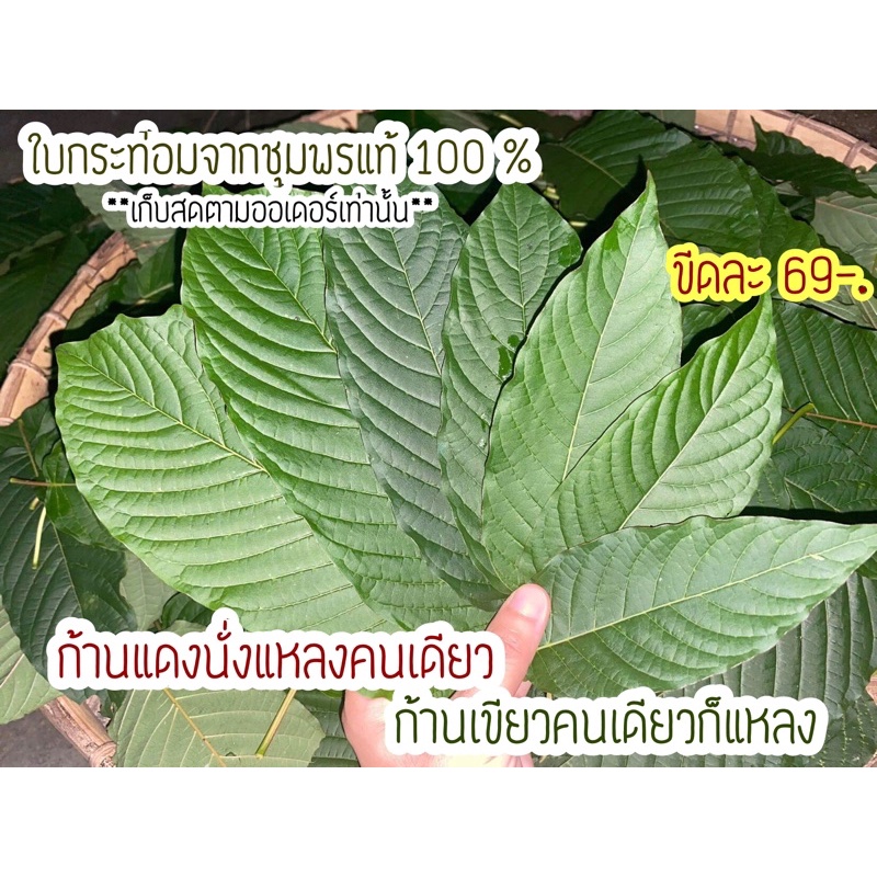 My Image 51