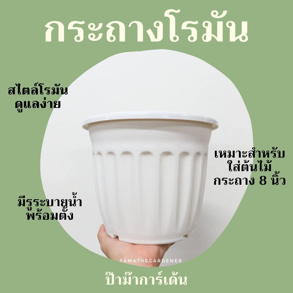 มุมมอง 2