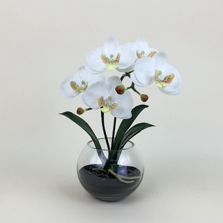 OrientalFineArt  ดอกกล้วยไม้ปลอม phalaenopsis orchid จัดในแจกันแก้วใสทรงกลม(ZCO-6312-N)