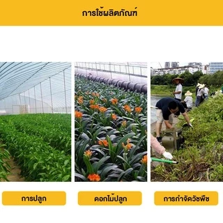 จอบเล็ก จอบพร้อมด้าม เหล็กแมงกานีส จอบผานด้ามแป๊บ จอบสั้น จอบจิ๋ว จอบขุดสับปะรด จอบใบผลาน จอบใบโพธิ์