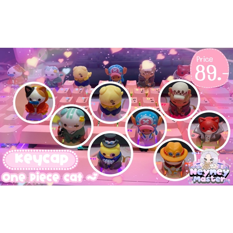 คีย์แคป Keycap One Piece V.น้องแมวเหมียว~~~