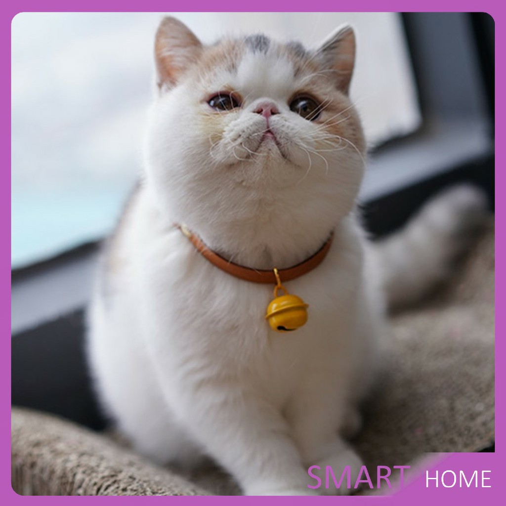 ลูกกระพรวน - กระดิ่งสำหรับใส่ปลอกคอแมว กระพรวน กระดิ่ง น้องแมวหลากสี กระพรวน Cat Bell