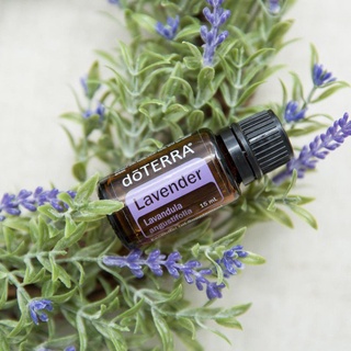 NEW!! : dōTERRA Lavender Essential Oil น้ำมันหอมระเหยลาเวนเดอร์ ขนาด 15มล.