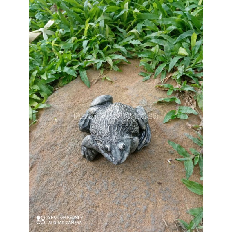 ตุ๊กตาปูนปั้นกบตกแต่งสวนสวยมีให้เลือก 2 สี น่ารักมาก สนใจสั่งซื้อได้คะ ราคาถูก ราคา ถูกที่สุด ดีลบีเคเค แกลเลอรีภาพที่ 8