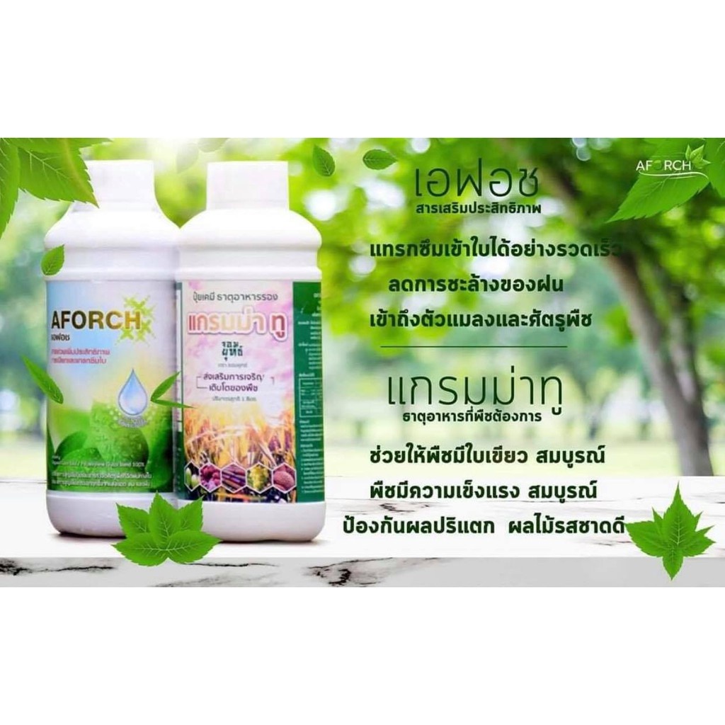 แพ็คคู่ AFORCH 100cc + แกรมม่าทู 500cc
