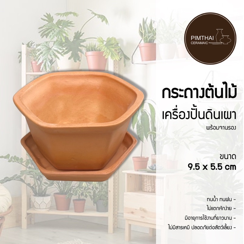 กระถางต้นไม้ดินเผา รุ่น ทรงหกเหลี่ยม (พร้อมจานรอง) เช็คขนาดสินค้าก่อนสั่งซื้อ