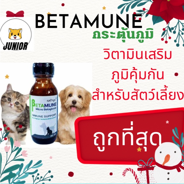 เบต้า กลูแคน เบต้ามูน Betamune วิตามิน บำรุงแมว กระตุ้นและเสริมสร้างภูมิคุ้มกัน 30 ml.ล็อตใหม่ล่าสุด
