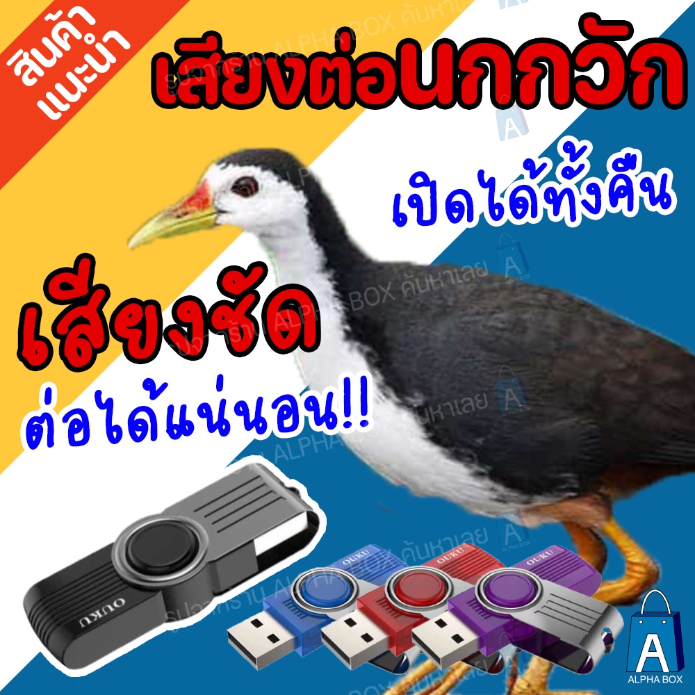 เสียงต่อนกกวัก แฟลชไดร์ฟเสียงต่อนกกวัก ต่อได้ผลแน่นอน เปิดยาวได้ทั้งคืน [ALPHA BOX]