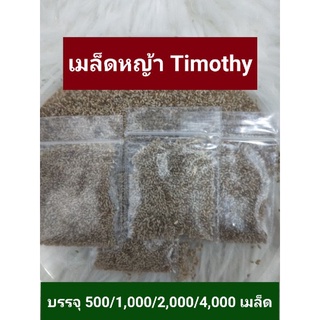 เมล็ด หญ้า ทิมโมธี Timothy seed ทีโมธี นำเข้า อาหารเต่า กระต่าย แพรี่ด็อก