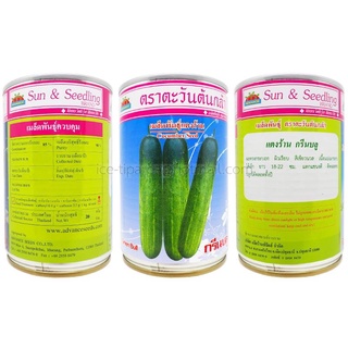 เมล็ด แตงร้าน กรีนบลู Cucumber Seed ตราตะวันต้นกล้า 1 กระป๋อง มี 20 กรัม ผลทรงกระบอก ผิวเรียบ สีเขียวนวล เนื้อแน่นกรอบ