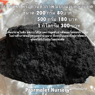 ไบโอชาร์ Biochar หรือถ่านชีวภาพ เพิ่มแร่ธาตุในดิน ลดการใช้ปุ๋ย ลดการดูดซับสารพิษและโลหะหนักในพืช