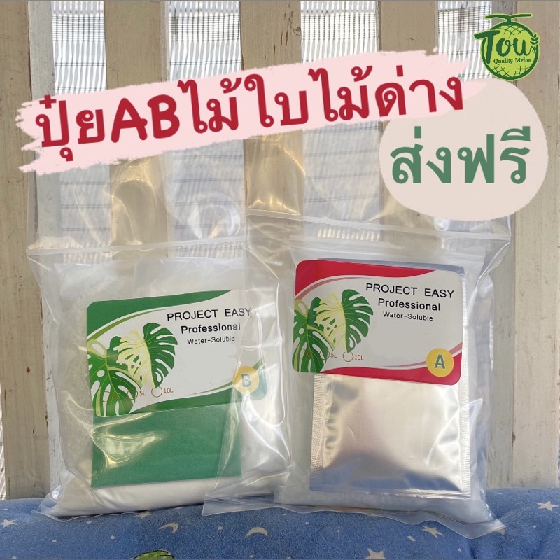 ปุ๋ย AB ไม้ใบ ไม้ด่าง  บำรุงพืช มอนสเตอร่า monstera ฟิโลเดนดรอน syngonium โชคเก้าชั้น