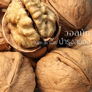 วอลนัท patta food อบ พร้อมทาน 300กรัม วอลนัท/organic ถั่ว/ธัญพืช
