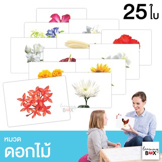 flashcard แฟลชการ์ด บัตรคำศัพท์ใหญ่ [ หมวดดอกไม้ Flower ]