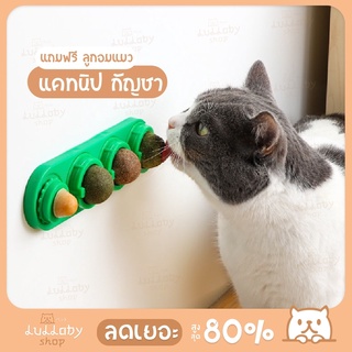 【พร้อมส่งจากไทย 】แคทนิปบอล 3 ลูก พร้อมขนมแมว วิตามิน ของแมว ขนมแมวเลีย ลูกบอลแมวเลีย catnip หญ้าแมว ของเล่นแมว