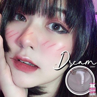 บิ้กอายตาโต สายแบ๊ว สายสวยหวาน ต้องมี รุ่น Dream Gray แบรนด์ Wink Contact Lens ขนาด 14.5  สีเทา ค่าสายตาปกติ