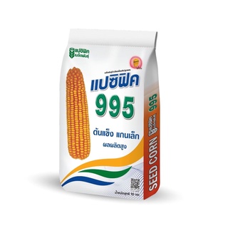 เมล็ดข้าวโพดเลี้ยงสัตว์ แปซิฟิค 995 ขนนาด 3.5 หุน (10 กก.) มาแรง ผลผลิตสูง ยืนต้นดี ฝักใหญ่ สีส้มสวย ทนทานเชื้อรา