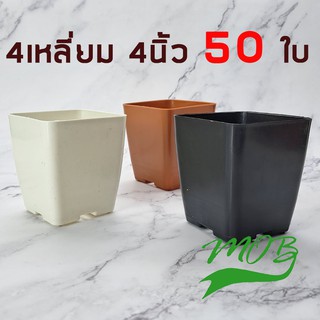 MOB กระถางแคคตัสเหลี่ยม 4 นิ้ว ไม่มีขอบ 50 ใบ