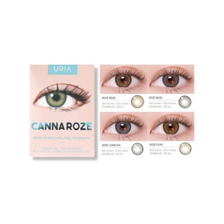 CANNA ROZE - IDOLLENS {0.00 ถึง -10.00} พร้อมส่ง!! คอนแทคเลนส์เกาหลี คอนแทคเลนส์รายปี