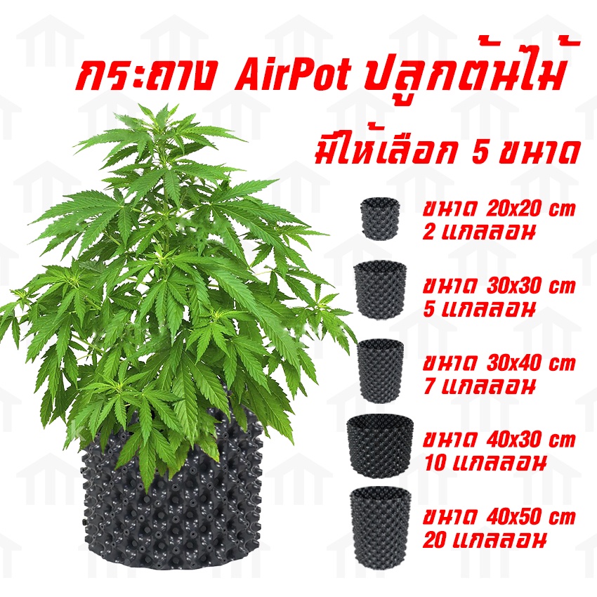 SYSTANO (ส่งจากไทย) กระถางปลูกต้นไม้ Air Pot ปลูกกันชา กระถางมีรู มี 5 ขนาดให้เลือก 2,5,7,10,20 แกลล