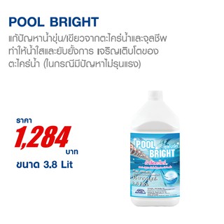 POOL BRIGHT (พูลไบร์ท) ผลิตภัณฑ์สำหรับแก้ปัญหาน้ำเขียว เนื่องจากตะไคร่น้ำและจุลชีพ (ออกใบกำกับภาษีได้)