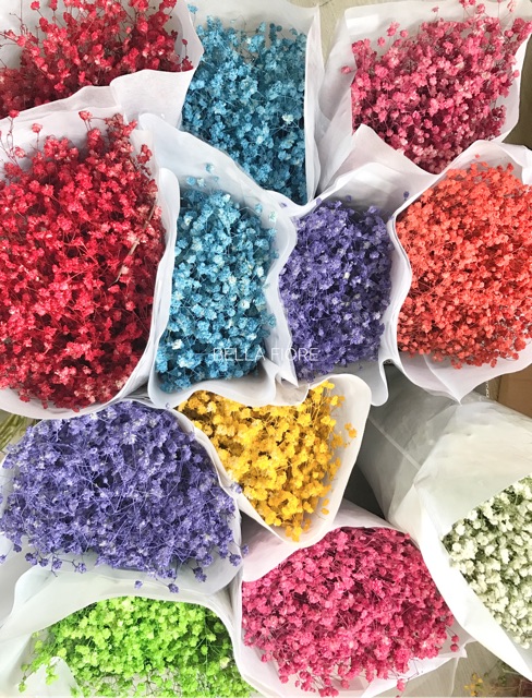 พร้อมส่ง ดอกไม้แห้ง ยิปโซย้อมสี มี2 ขนาด กำเล็ก และกำใหญ่ มีให้เลือกมากถึง 12 สีด้วยกัน