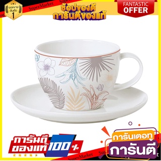 ชุดถ้วยกาแฟ FINE PORCELAIN 250ml KECH AUTUMN WILD แก้วน้ำ FINE PORCELAIN COFFEE SET 250ml KECH AUTUMN WILD