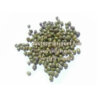 ถั่วเขียวผง 500 กรัม 59 บาท < ราคาส่งสอบถาม > ผงถั่วเขียว ถั่วเขียว