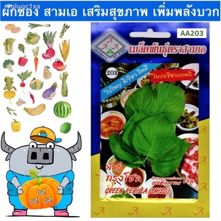 AAA 🇹🇭 ผักซอง สามเอ A203#ใบงาเขียวเกาหลี(พันธุ์กรุงโซล) เมล็ดพันธุ์ ใบงา เมล็ดพันธุ์ผัก เมล็ดผัก ผักสวนครัว ตราAAA