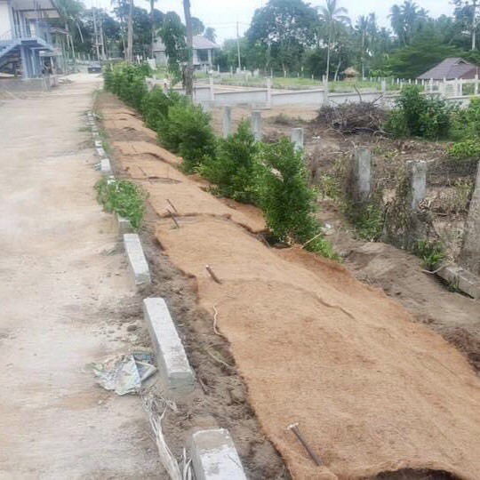 [พร้อมส่ง] ใยมะพร้าวขนาดหนา 1/2 นิ้ว 1x5, 1x10 เมตร สำหรับปลูกพืช คลุมดิน พันเสาไม้เลื้อย - รูปที่ 3