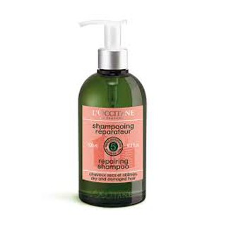 L’occitane Intensive Repair Shampooและ refillแบบเติม (500 ml.)แชมพูช่วยทำความสะอาด และฟื้นบำรุงผมที่แห้งเสีย