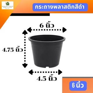 กระถางพลาสติกสีดำ ขนาด 6 นิ้ว