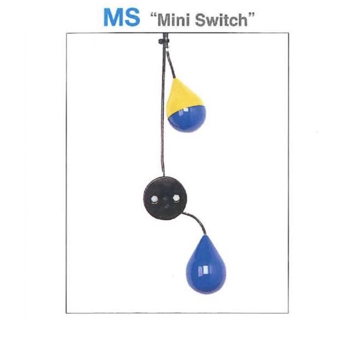 สวิชท์ลูกลอยไฟฟ้า Shinmaywa รุ่น MS21 (สายไฟยาว 6 เมตร)