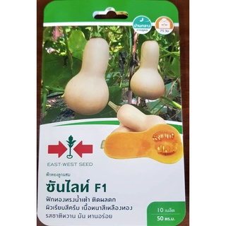 เมล็ดพันธุฟักทอง ฟักทองลูกผสม ซันไลน์ (10เมล็ด)หมดอายุ03/2567📌เนื้อแน่น เนื้อเหลือง น่ากิน รูปทรงคล้ายน้ำเต้ายาว