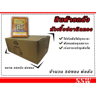 ยกลัง แพ็ค 50 ซอง หัวเชื้อปลานิลทอง ขนาด 30 กรัม สุดยอดหัวเชื้อ ปุ๋ย ช่วยให้พืชแกร่งทนสภาพอากาศ ทนทานต่อโรคพืช พืชงาม ผล
