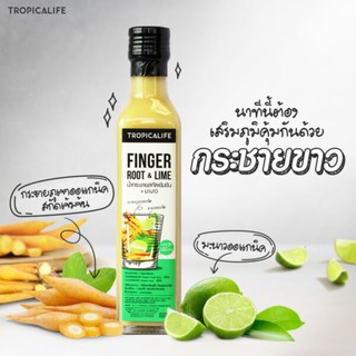 Finger Root &amp; Lime 250ml (น้ำกระชายขาว)