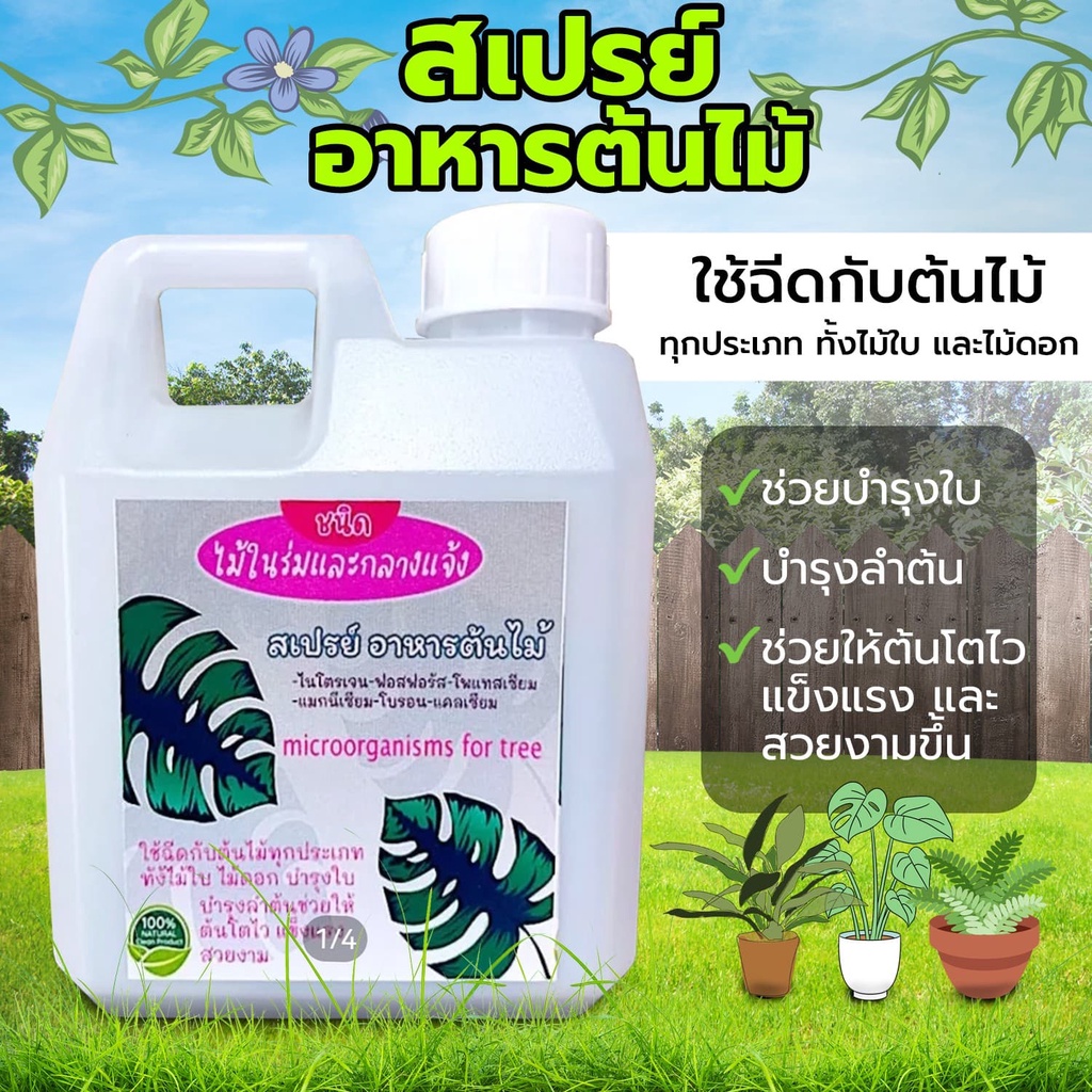 อาหารต้นไม้ ใช้ได้ดีทั้งต้นไม้ในร่มและต้นไม้กลางแจ้ง (ชนิดพเศษ) เร่งใบ เร่งดอก ลำต้นแข็งแรง กลิ่นหอมน่าใช้ ไม้สวยงาม