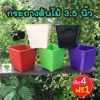 Local ฟาร์มสุข กระถางแคคตัส กระถางต้นไม้ 3.5 นิ้ว กระถางไม้อวบน้ำ กระถางพลาสติกสี่เหลี่ยม เซ็ต 4 ฟรี 1