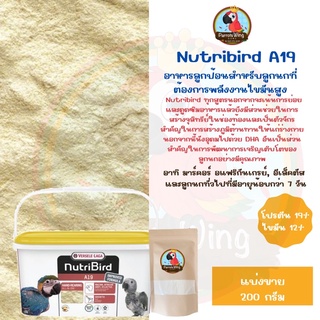 Nutribird A19 อาหารลูกป้อนสำหรับลูกนกที่ต้องการพลังงานไขมันสูง (แบ่งขาย 200g.)