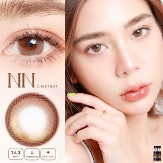 คอนแทคเลนส์ Wink NN ขนาดกลาง 14.5
