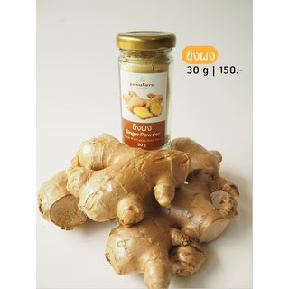 Ginger Powder 30 g ขิงผง พสุธารา