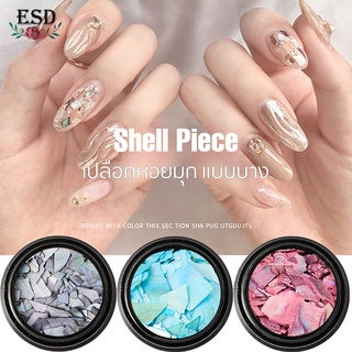 เปลือกหอยมุก แบบชิ้นบาง 1 กระปุก/ Shell Piece Nail Decoration  1 box