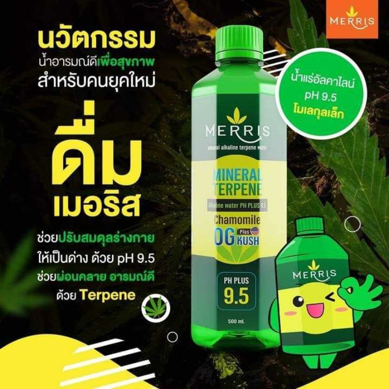 MERRIS น้ำอัลคาไลน์ ALKALINE เมอร์ริส น้ำด่าง เครื่องดื่ม น้ำดื่ม น้ำดื่มอารมณ์ดี มีค่า เป็นด่าง PH9