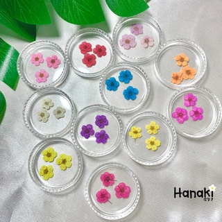 【พร้อมส่ง】ดอกพลัม ดอกพลัมทับแห้ง (Plum)💐กระปุกละ 10 ดอก Pressed Flowers💐