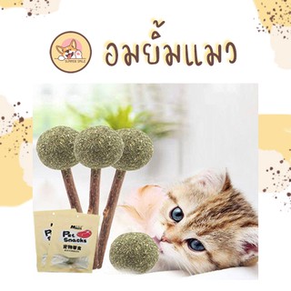 Catnip Lollipop อมยิ้มแมว อมยิ้มแคทนิป ลูกบอลแคทนิป สมุนไพรแมวผสมใบมิ้นท์ ไม้มาทาทาบิ ขนมแมว