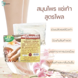 สมุนไพรแช่และขัดเท้า สูตร ไพล แช่เท้า ขัดเท้า สปาเท้า 1 ซอง ปริมาณ 50 กรัม