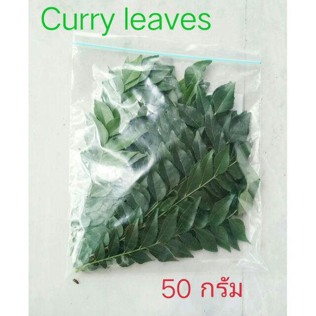 Fresh curry leaves 100 g. ใบหมุย ใบหอมแขก Khadi patta Karapincha  curry leave daun kari